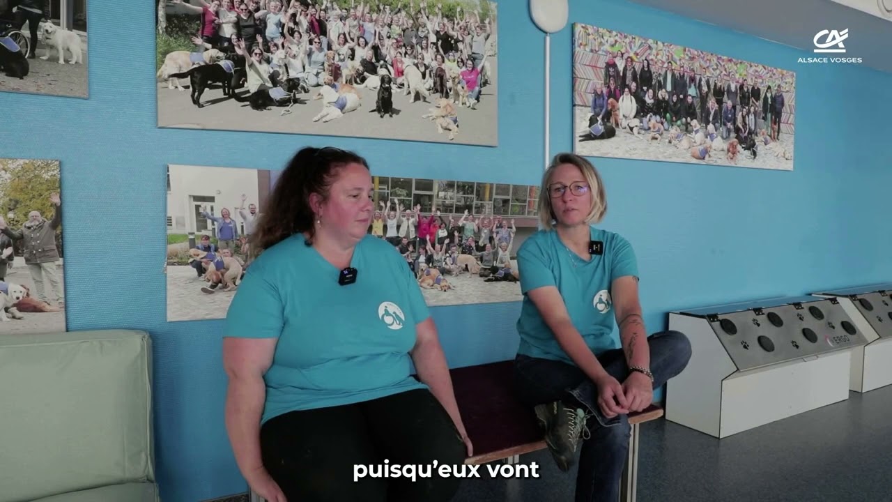 Fondation Crédit Agricole Alsace Vosges : Chiens Guides de l'Est x Handi'Chiens