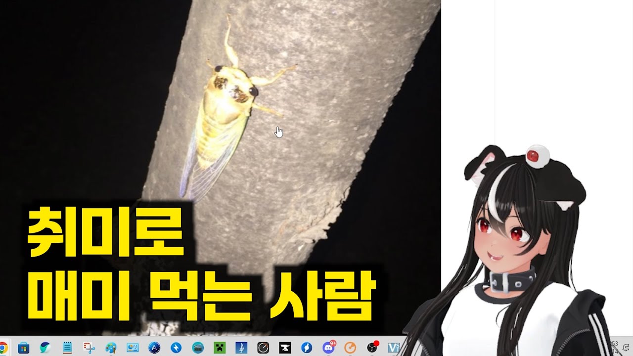 매미괴인의 습격