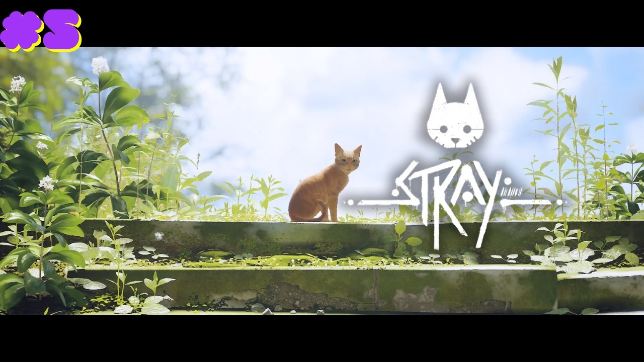Stray | saving the robot town