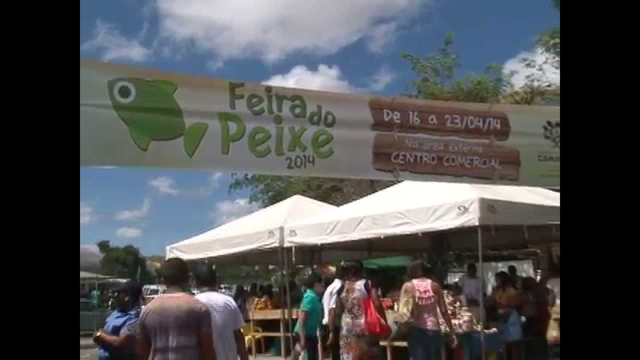 FEIRA DO PEIXE 2014- TV C&Acirc;MARA CAMA&Ccedil;ARI