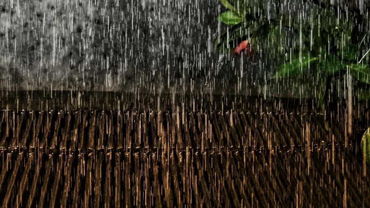 Instant Calm ⚡ Soft Rain Sounds for Sleep, Study & Relaxation