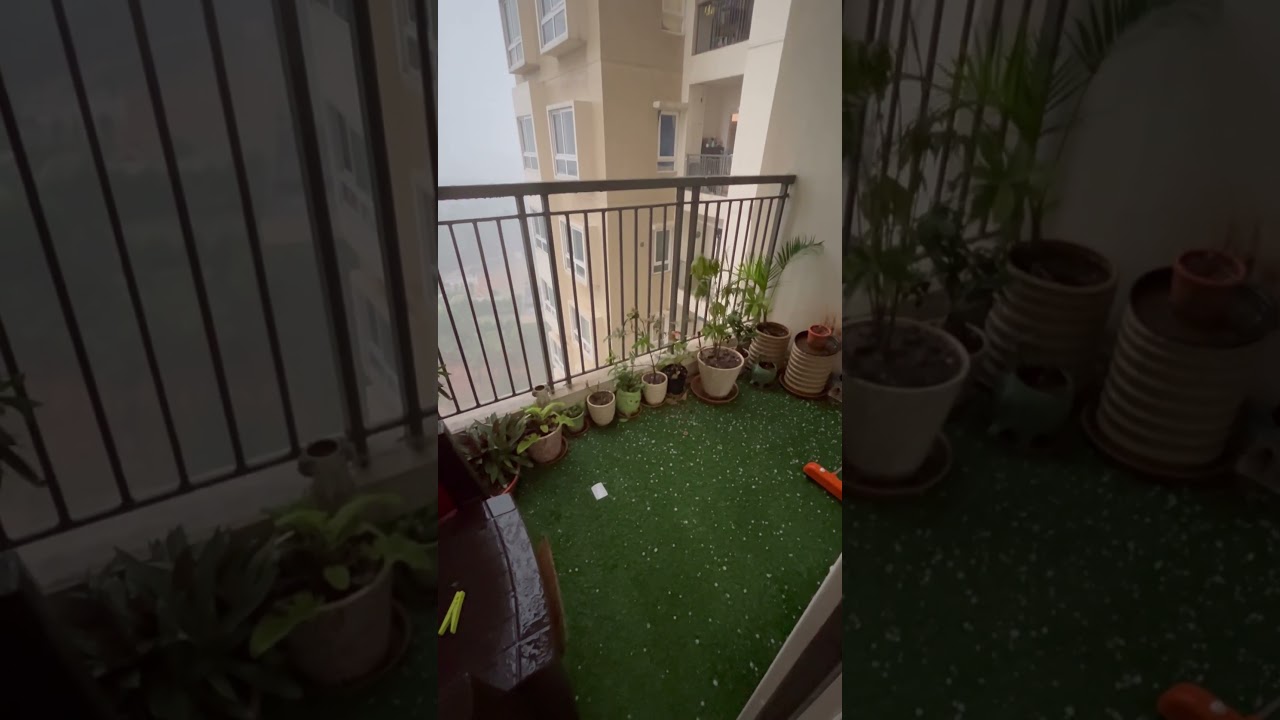 Hailstorm in Bengaluru #rain #bengaluru #bengaluruweather