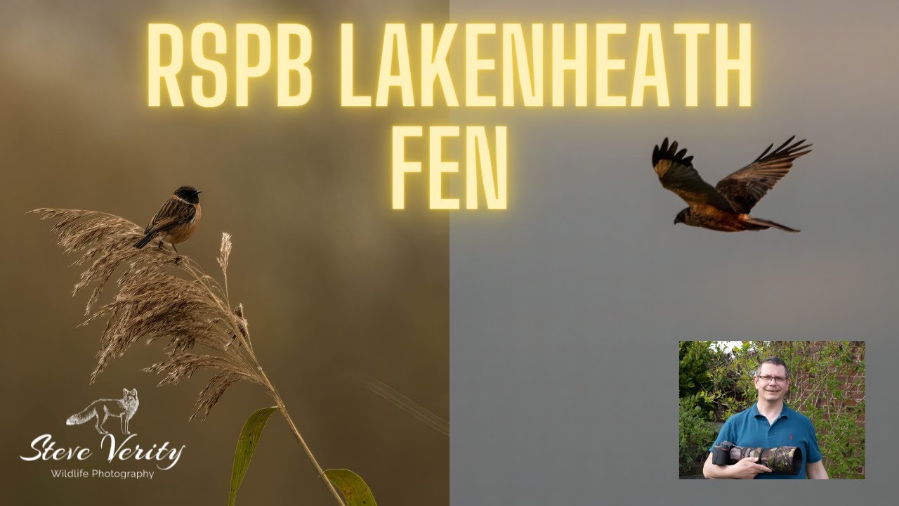 RSPB Lakenheath Fen