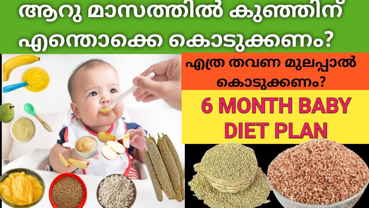 Six Month Baby Daily Routine And DIET CHART|Malayalam|nichusnest|[TOP 10] |Baby Food Chart Malayalam