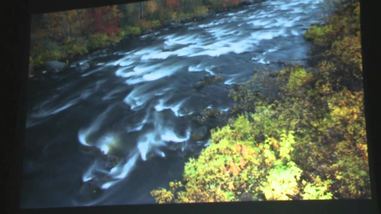 Harrastuksena Valokuvaus - Jyv&auml;skyl&auml;n kameraseura