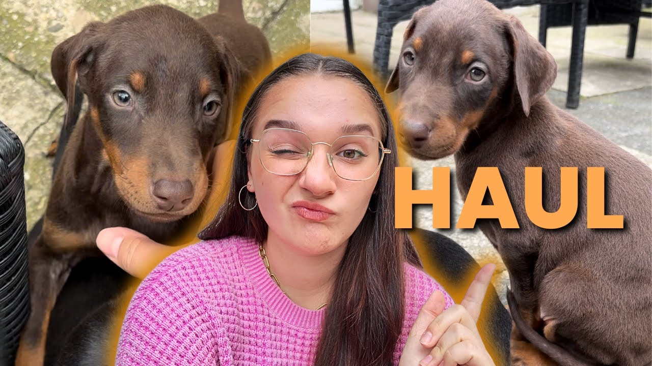 Welpen Erstausstattung - HAUL! (Erster Dobermann)