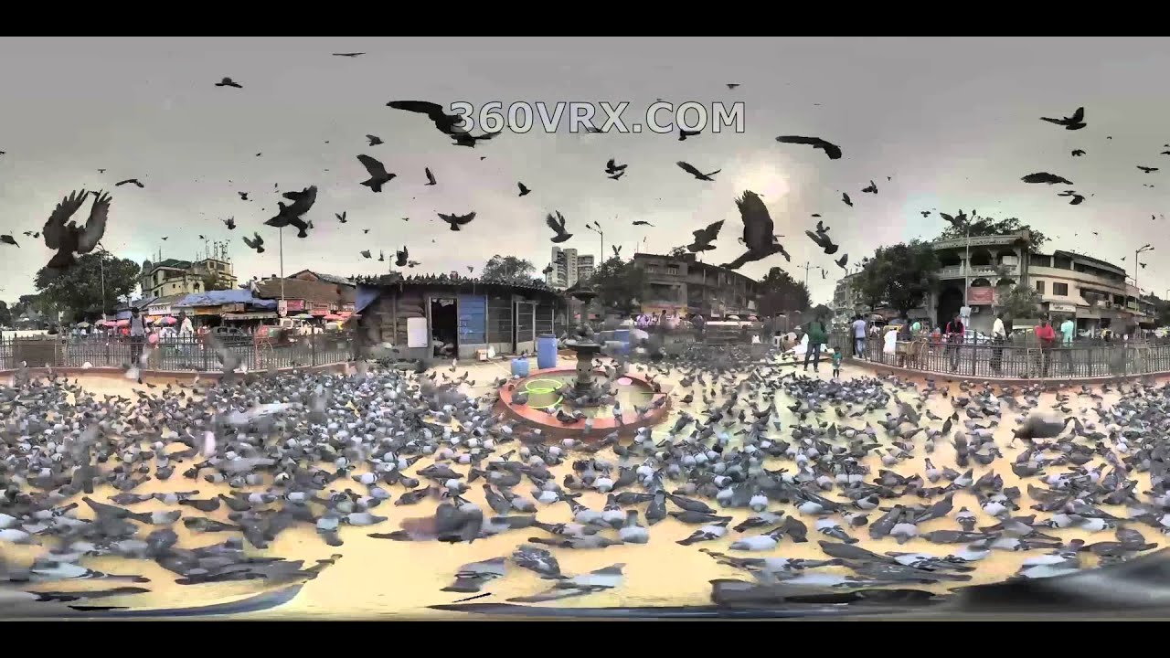 360VRX Demo Mumbai : Dadar Kabutarkhana
