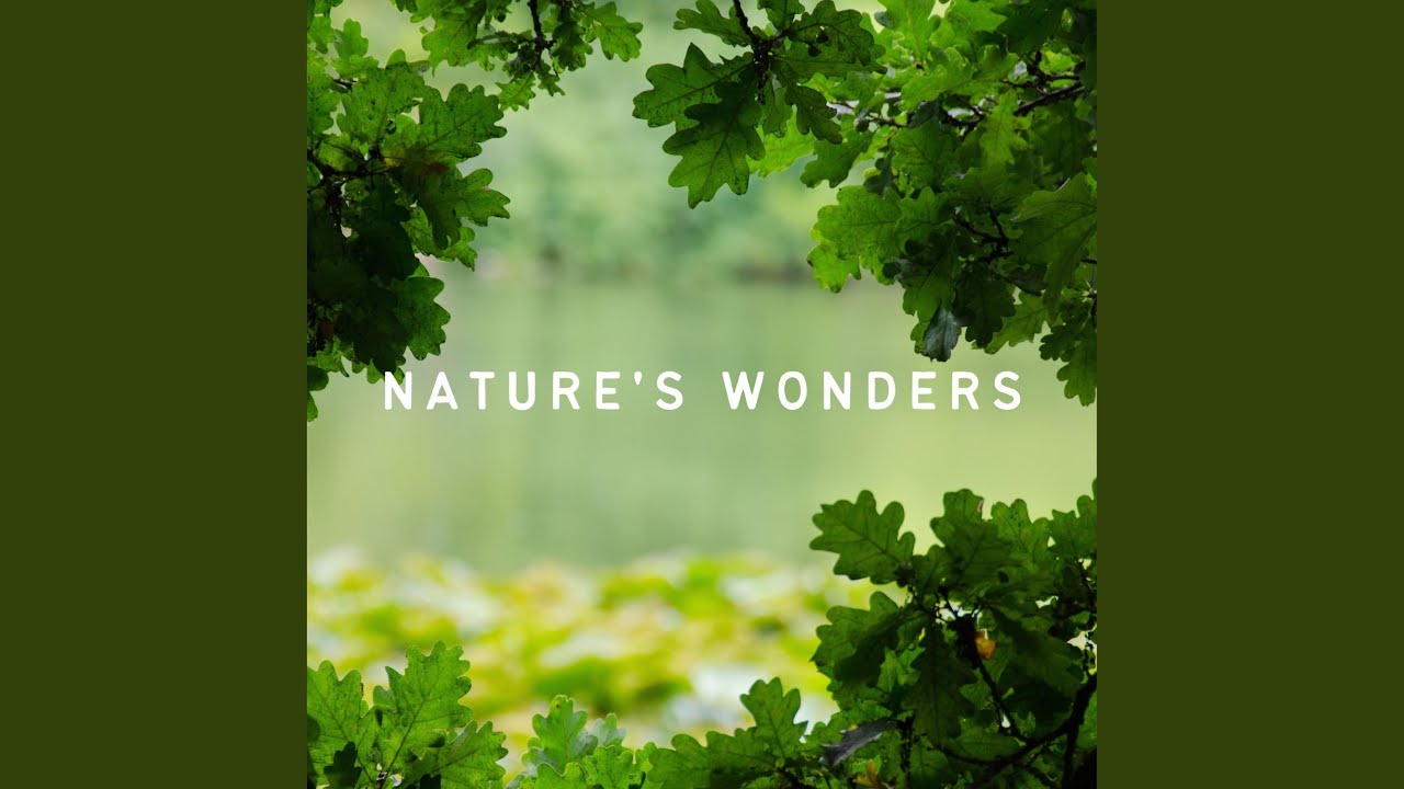 The Incredible Vibe of Nature