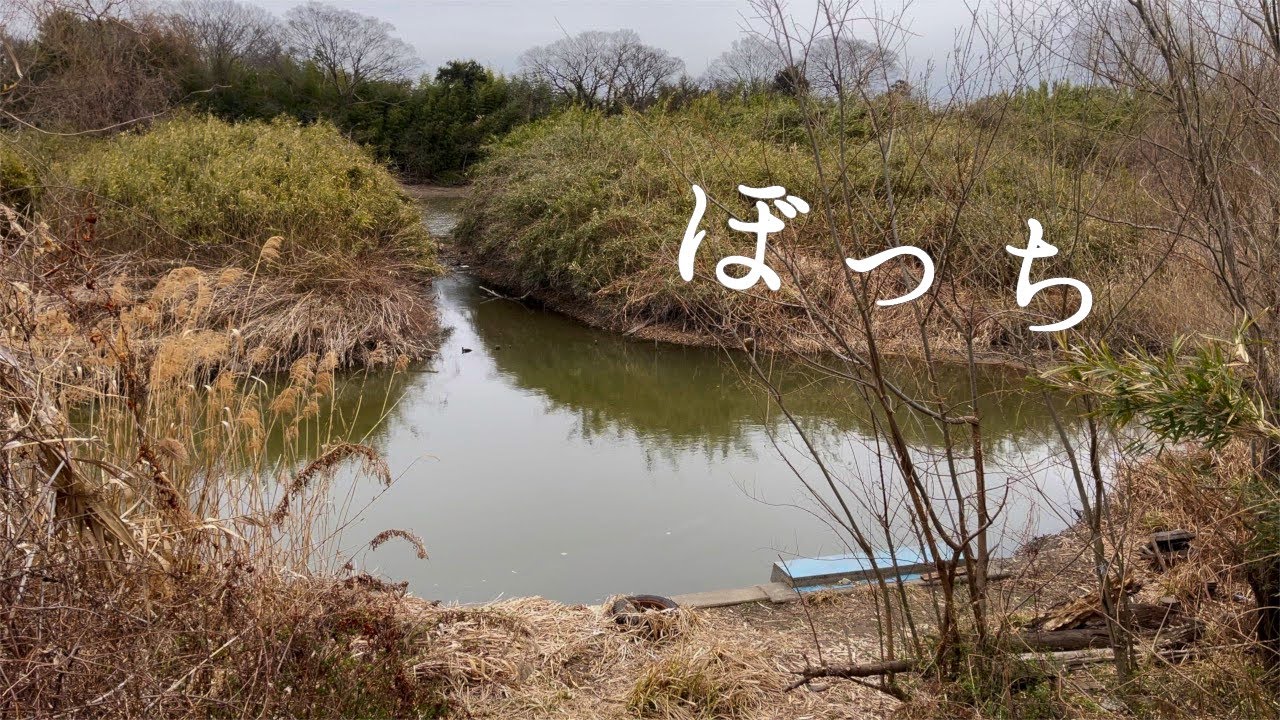 ぼっち池  小物釣り フナ Crucian carp fishing