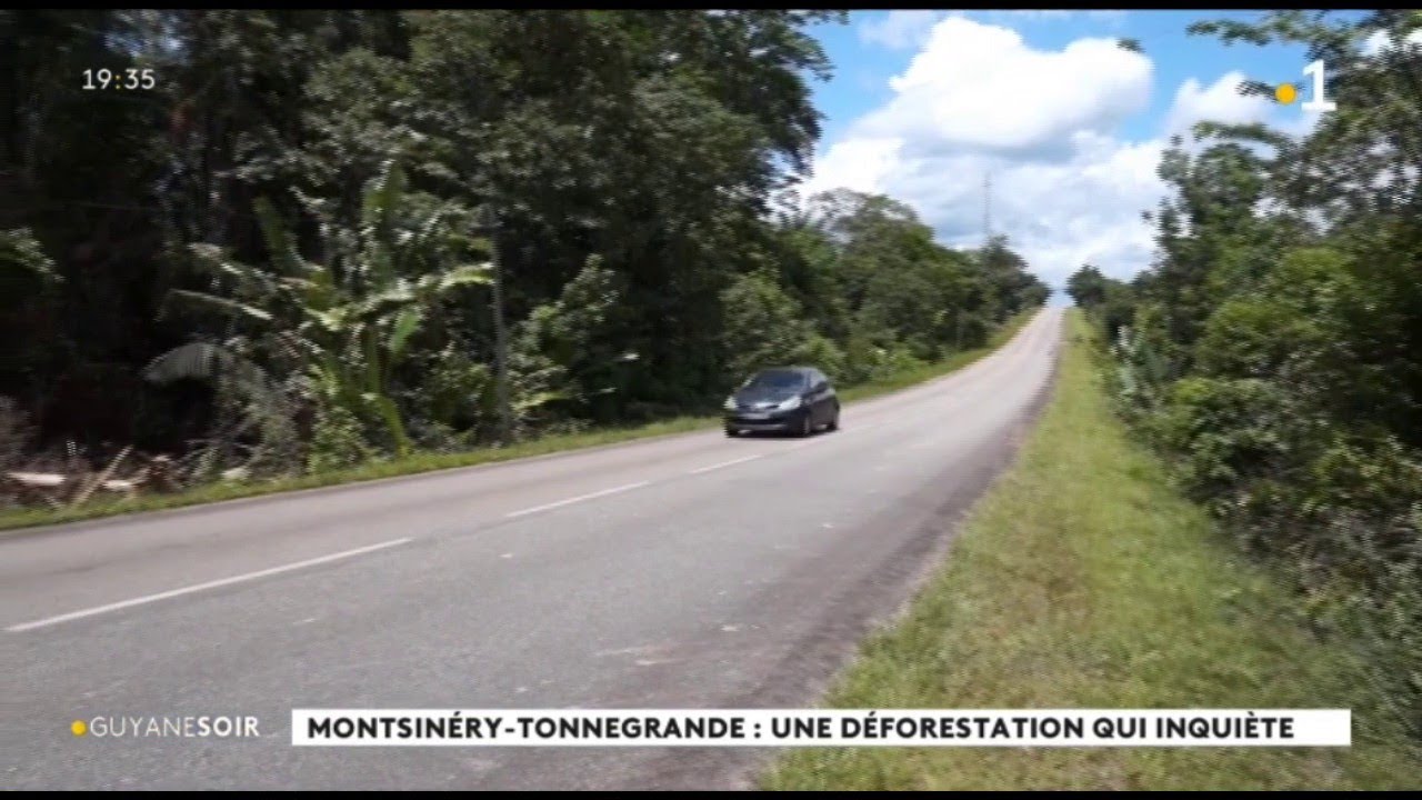 Montsinery-Tonnégrande : une déforestation qui inquiète