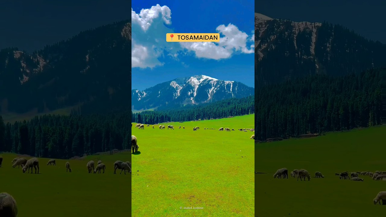 Kashmir offbeat places #travel #offbeatplaces #nature #trend #youtube #news #viral #new