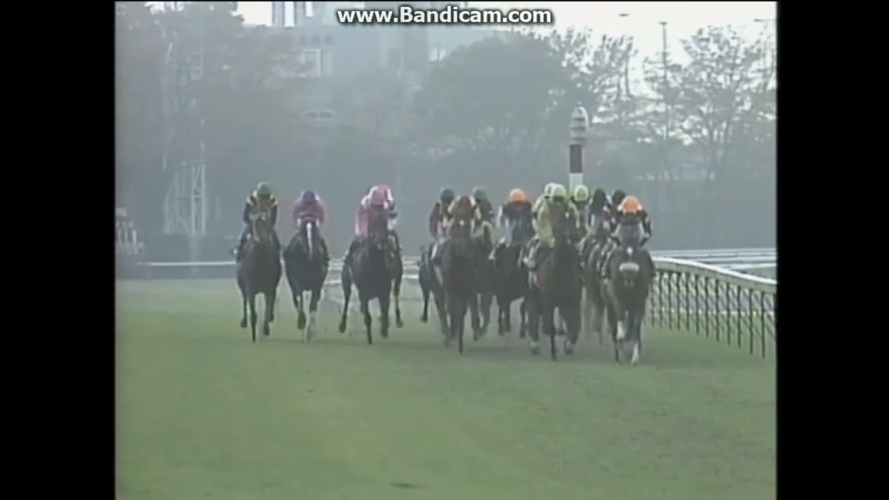 1996 ジャパンカップ (GⅠ)　シングスピール Singspiel (IRE)