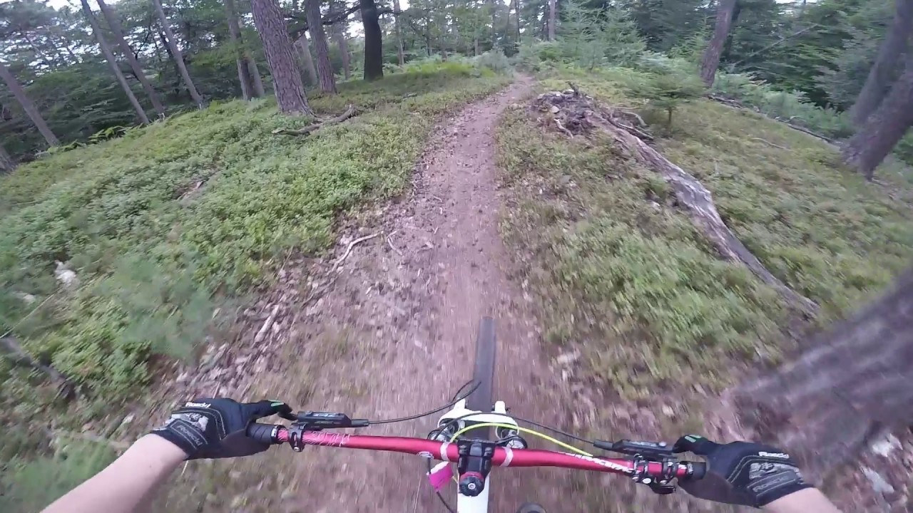 Downhill Wei&szlig;en Stein Dossenheim RAW / Dossenheimer Dh / CedricMTB