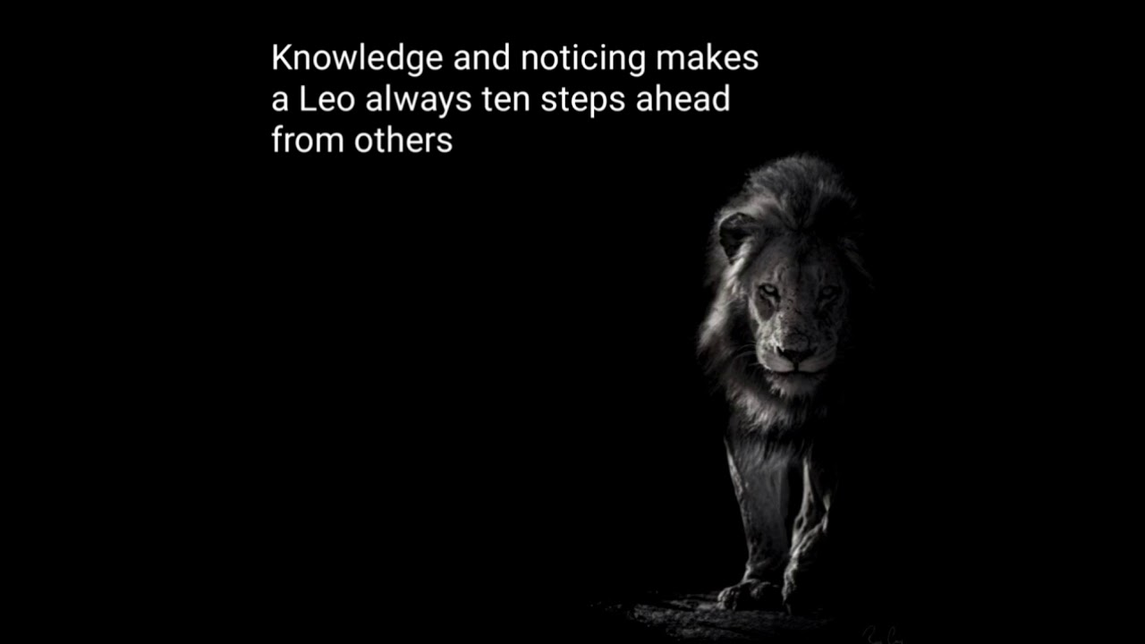 The true Leo quotes from a Leo (part2of2)#leo #quotes #zodiac