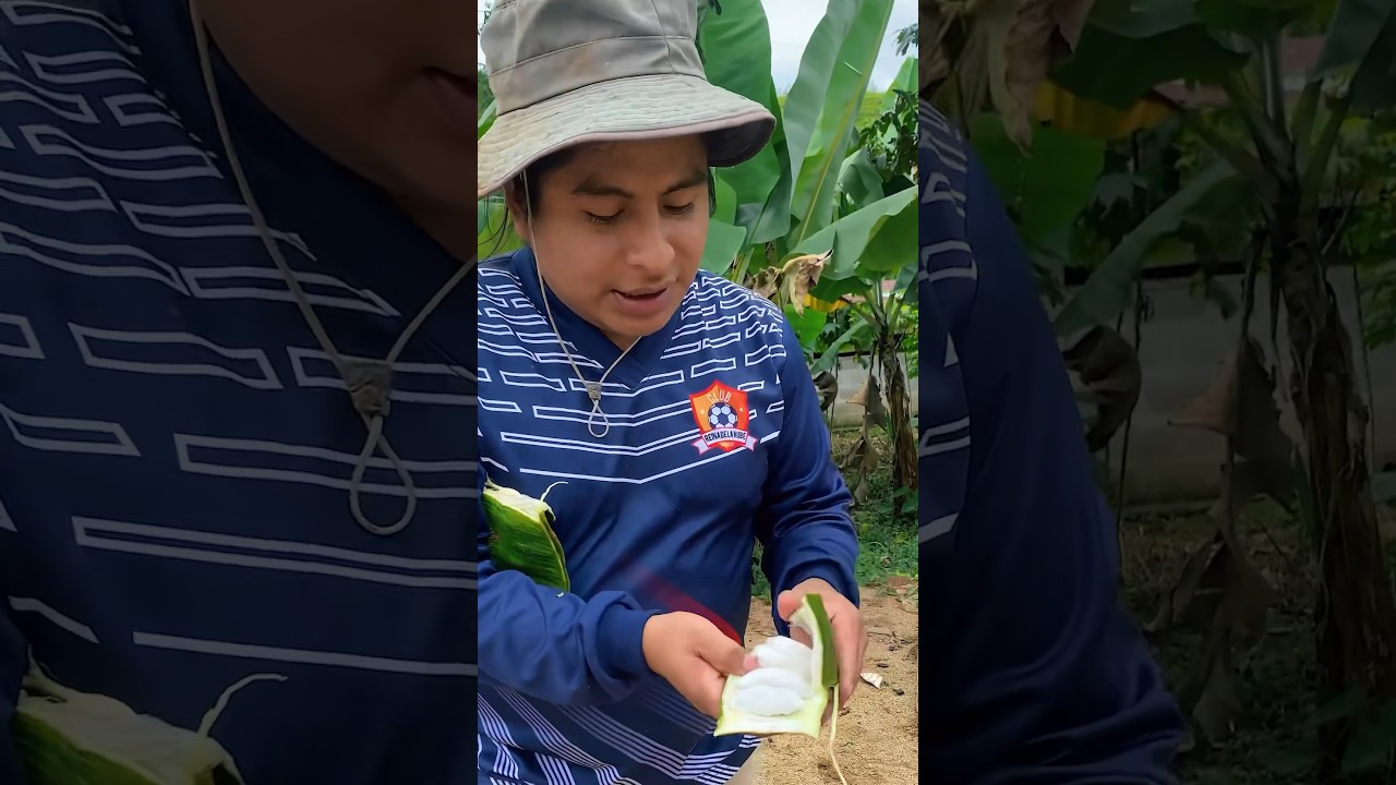 Cosechando unas ricas GUABAS