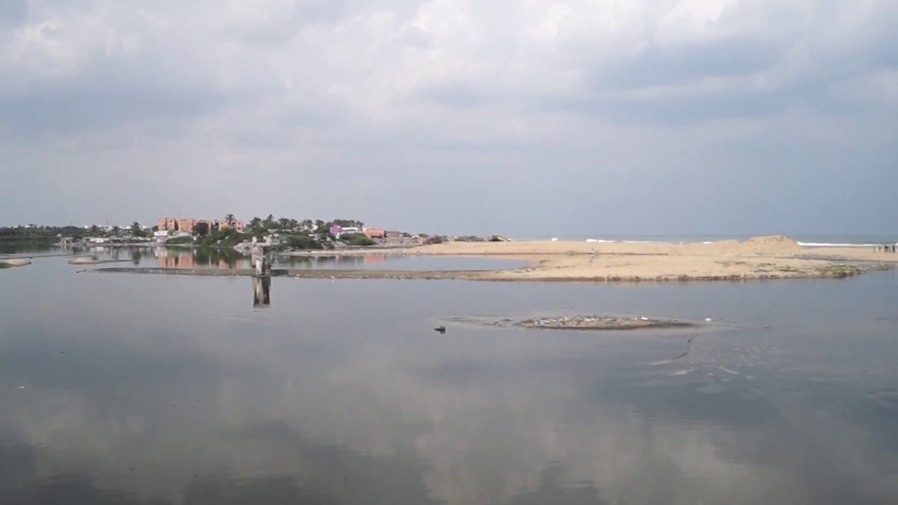 Adyar river joins Bay of Bengal | Adyar Estuary | Chennai