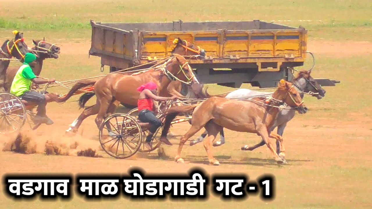pethvadgav amazing horse cart race| पहिला गट संपूर्ण पट्टा
