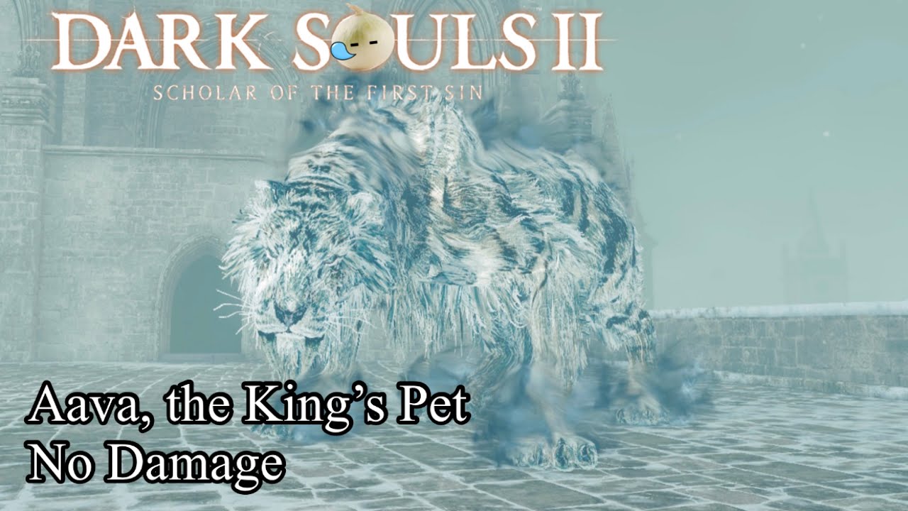 Aava, the King&rsquo;s Pet / No Damage / Dark Souls 2 : Scholar of the First Sin