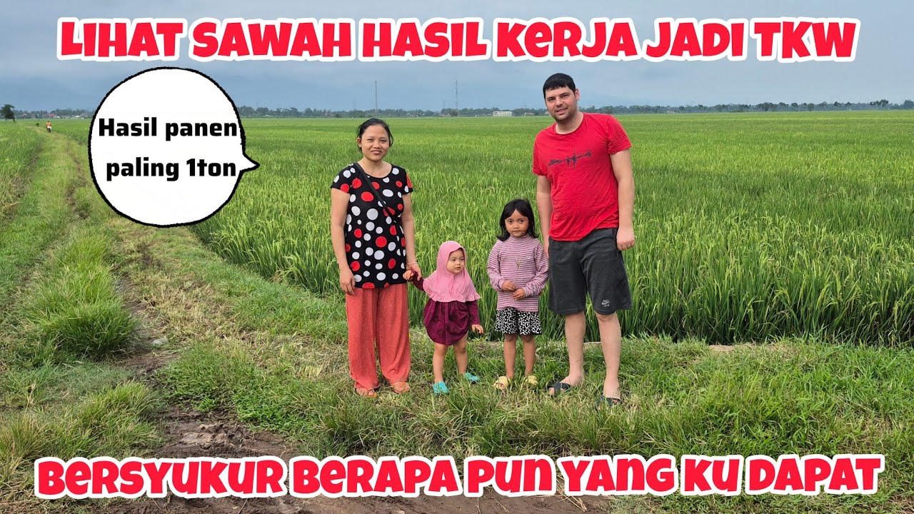 AJAK SUAMI TURKI LIHAT SAWAH HASIL JADI TKW#tkw #hasil 