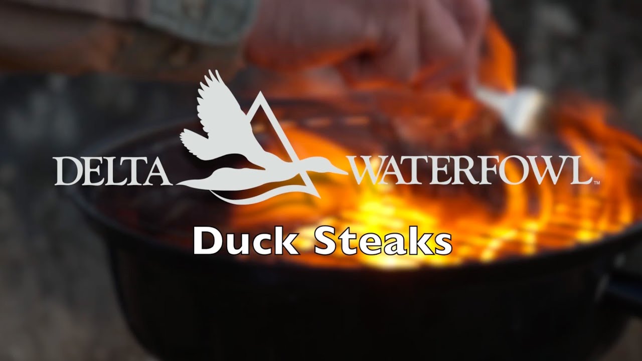Duck Steaks