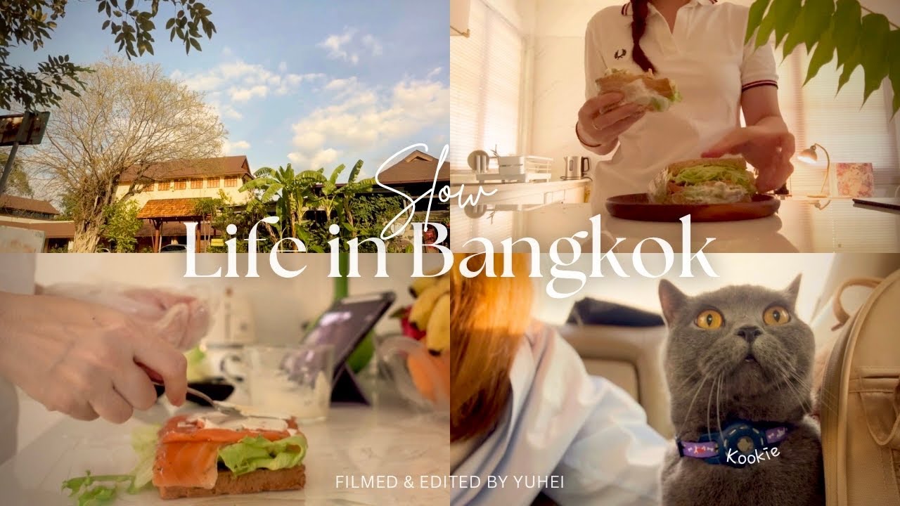 Slow Life in Bangkok 🌿 Home brunch, Tennis & Loy Krathong Festival ✨Winter Vibes and Kookie