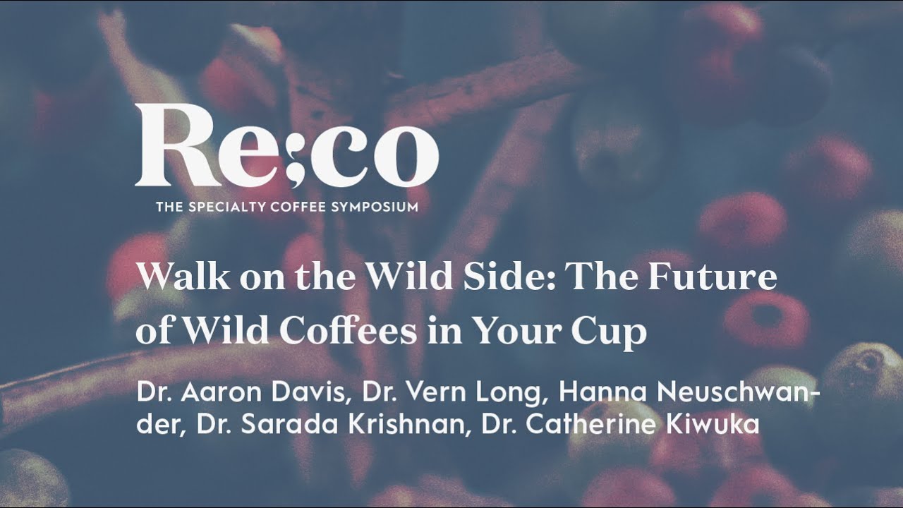 Walk on the Wild Side: The Future of Wild Coffees in Your Cup | Re:co 2022