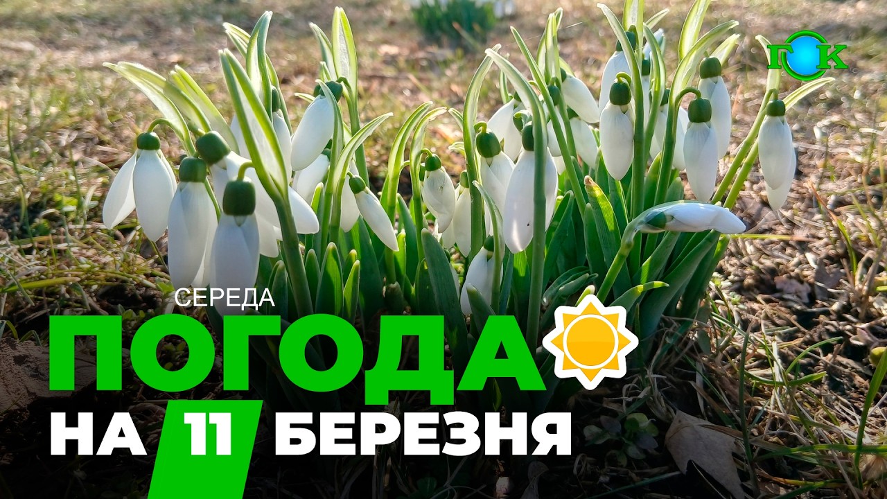 🌤️ До +17 уже завтра: якою буде погода в Україні 11 березня