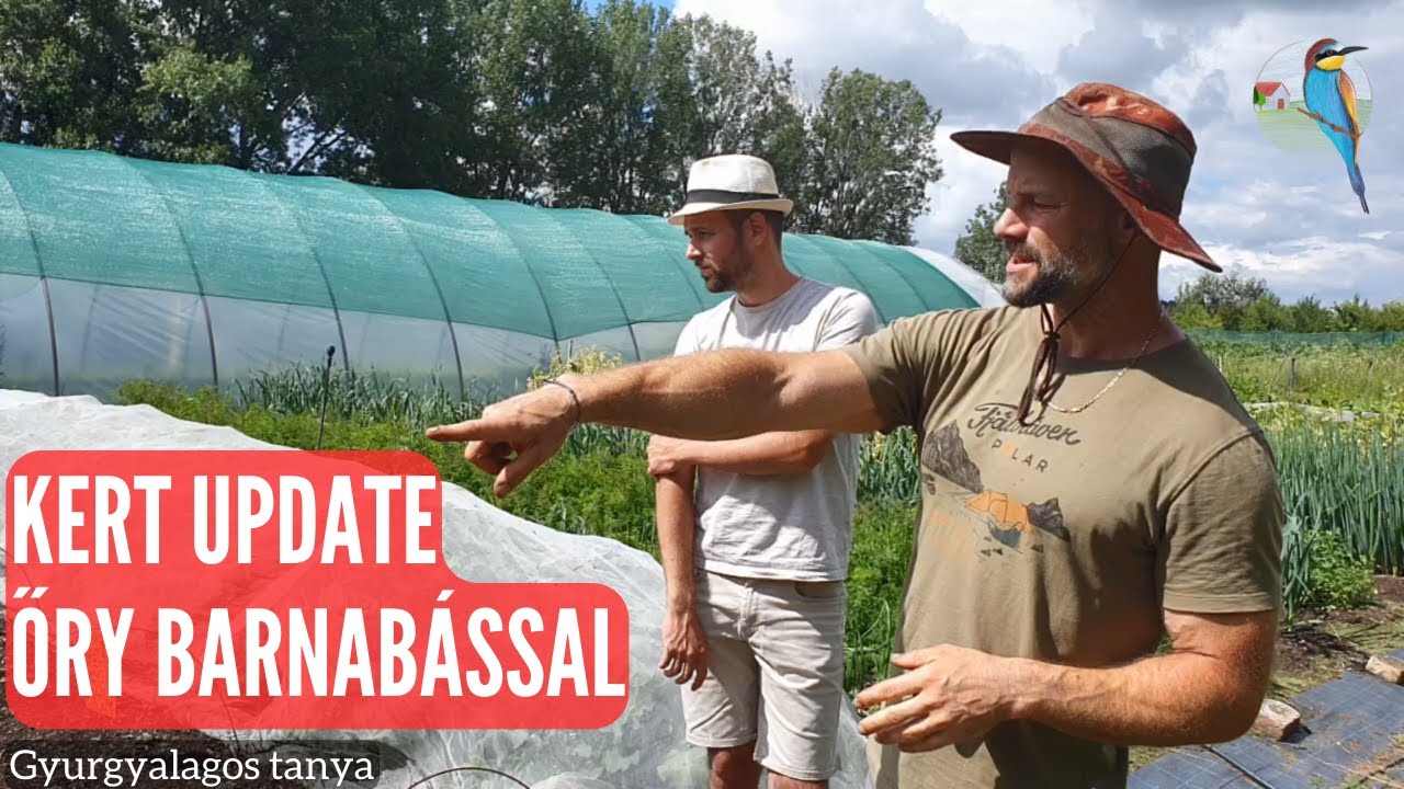 Kert update Őry Barnabással