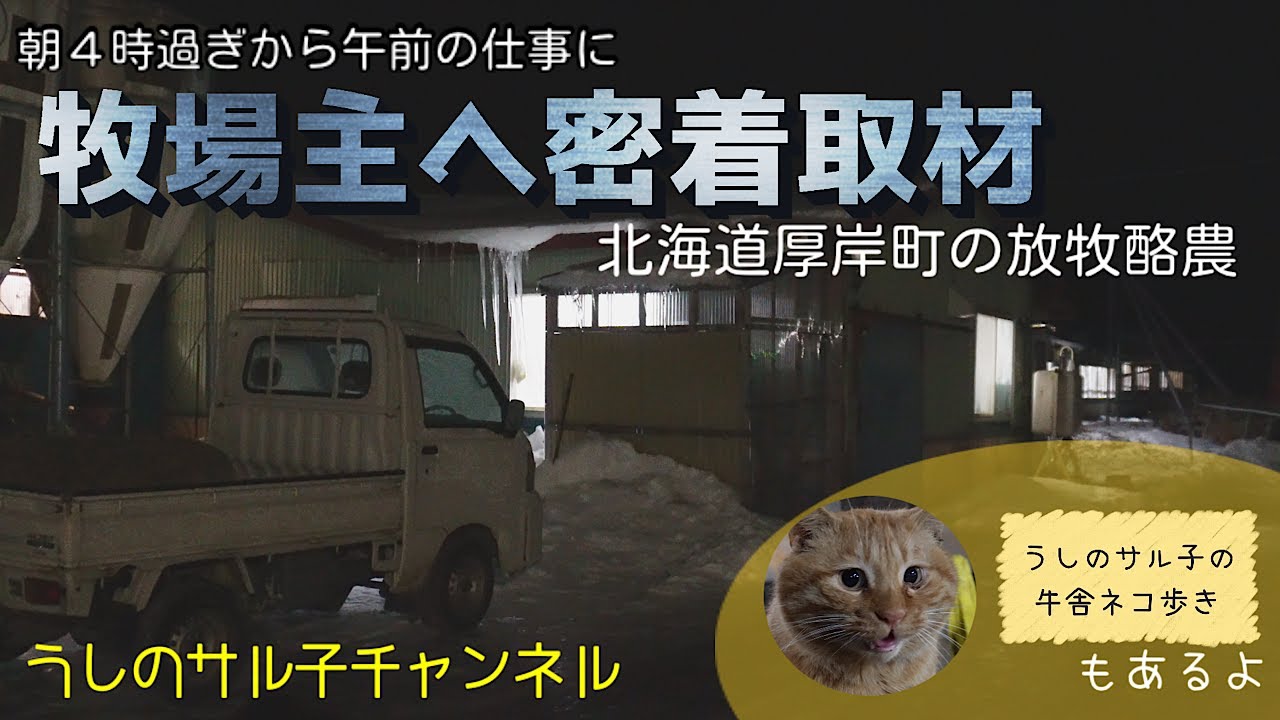 ＃10 ある酪農家の午前のルーティーン