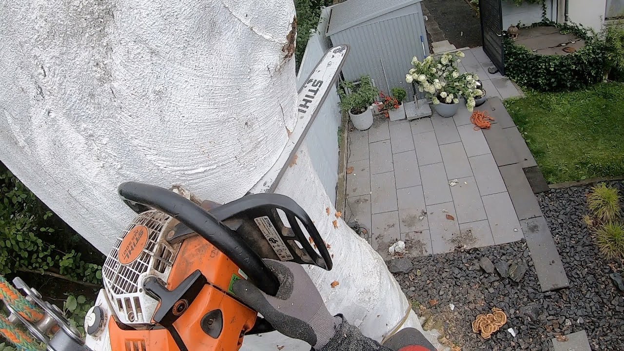 Kleiner Garten, Großer Stamm? Kranfällung!