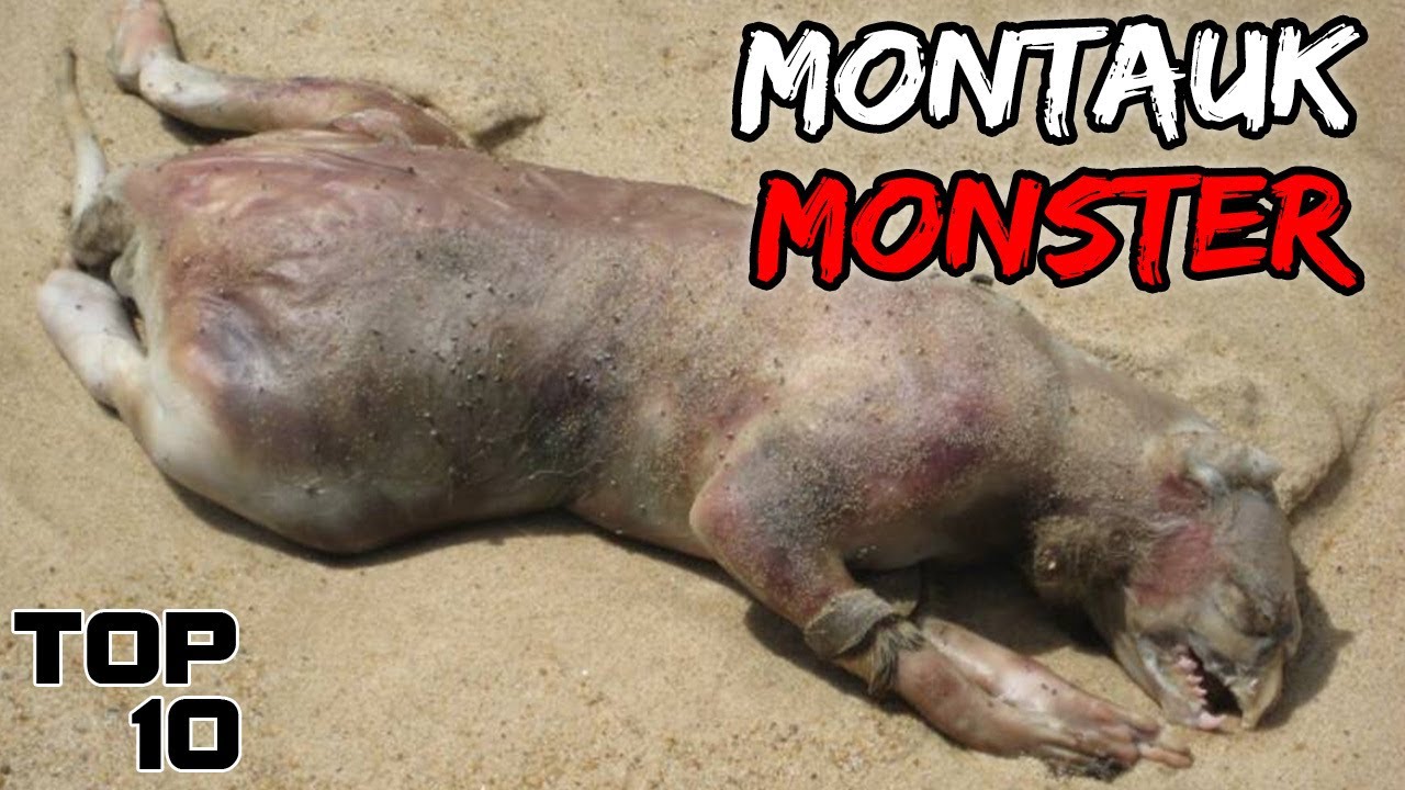 Top 10 Terrifying Urban Legends From North America That Will Terrify You