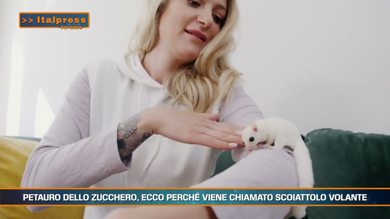 petnews magazine 27102025