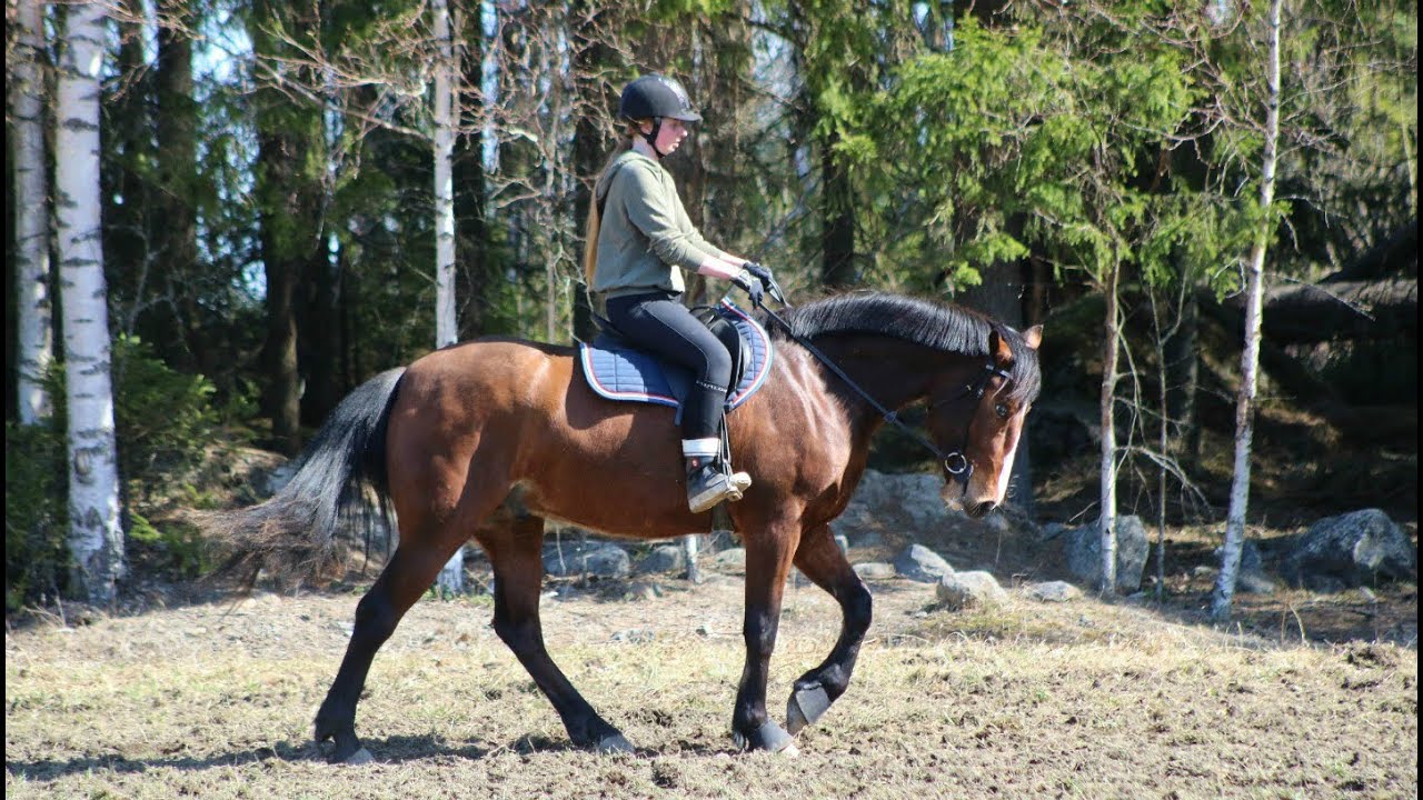 Ruben puomeja 28.4.2019