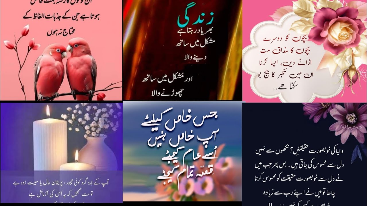 Motivational quotes about life|islamic urdu iqwaly zaree| Nishat-e-fikr|golden words. 