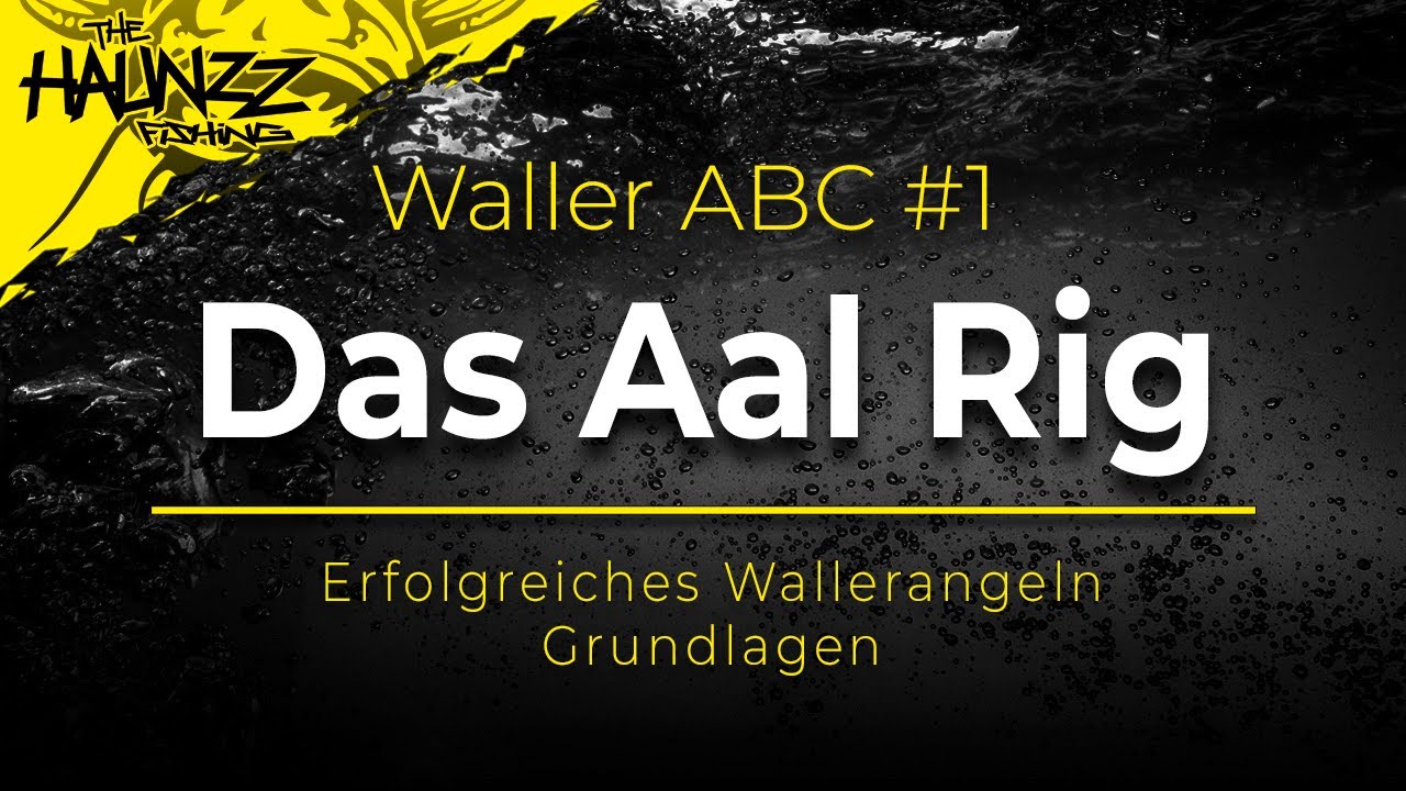 Welsfischen | WALLER ABC | Das AAL RIG