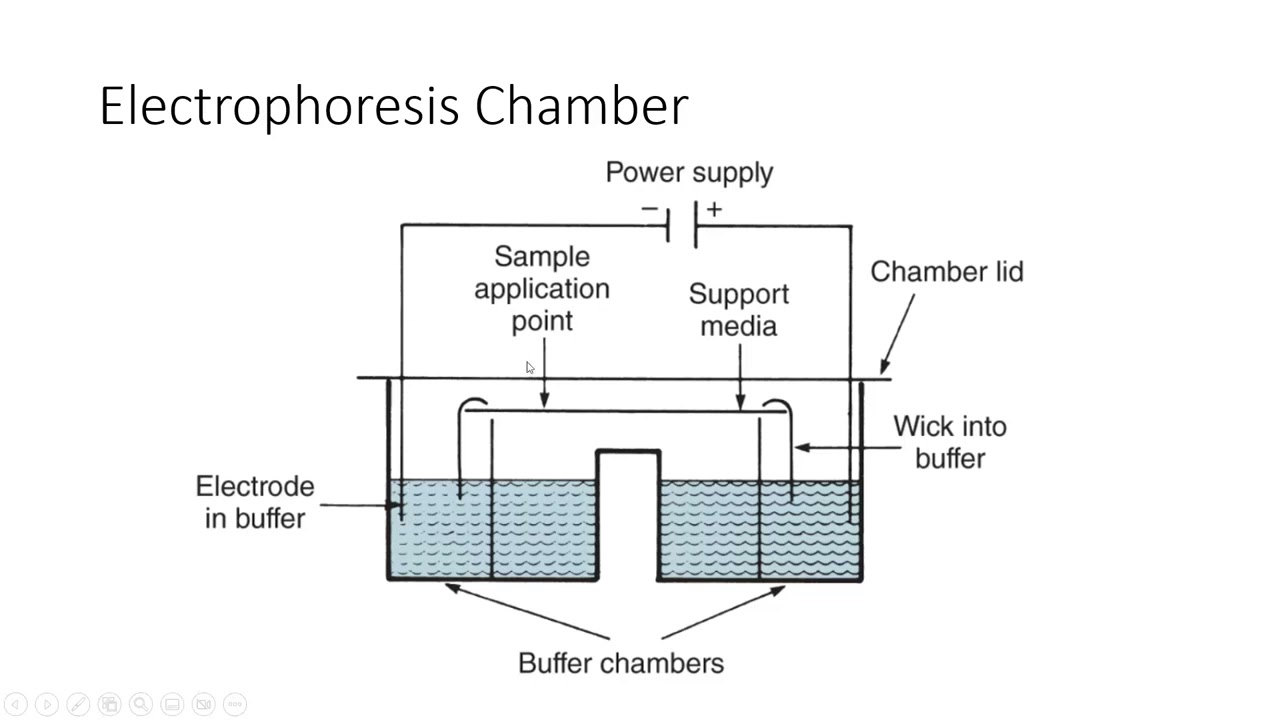 CC Electrochemistry & Electrophoresis