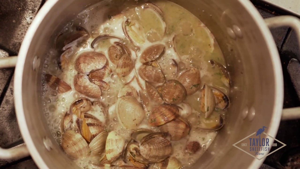 HOW TO COOK MANILA CLAMS