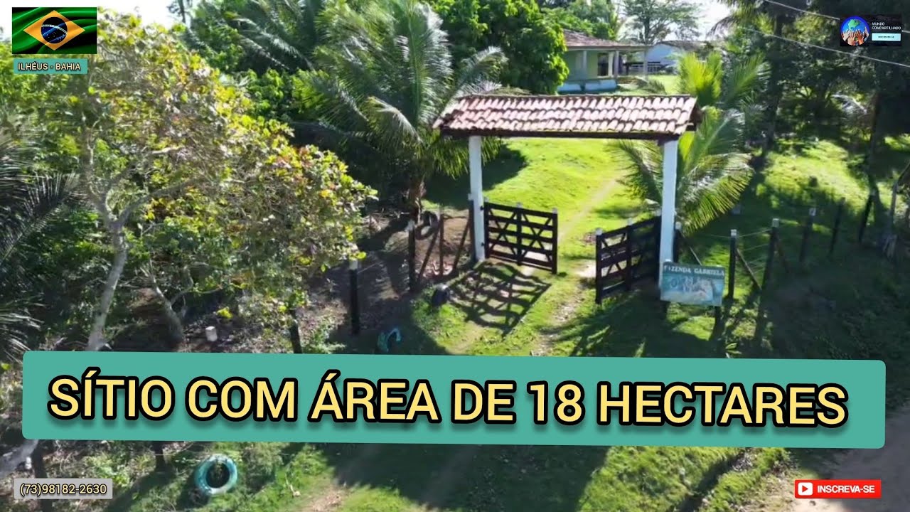 Sítio a venda em Ilhéus na Bahia área de 18 hectares,várias frutíferas e 8 hectares de cacau.
