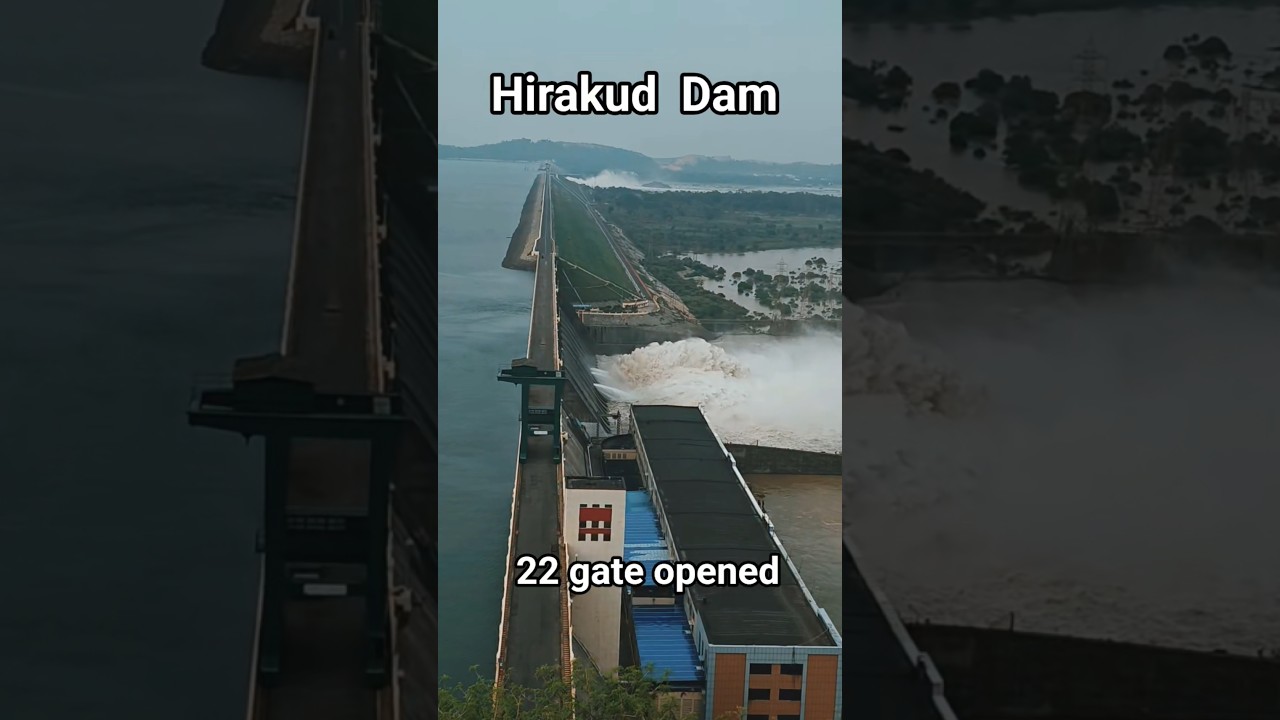 Hirakud dam flood water released. 🌊 | Heavy rain in odisha | 22 gates  opened | Sambalpur | Odisha.