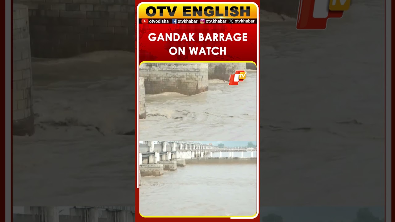 Nepal Flood Impact: Gandak River Level Fluctuates At India-Nepal Border