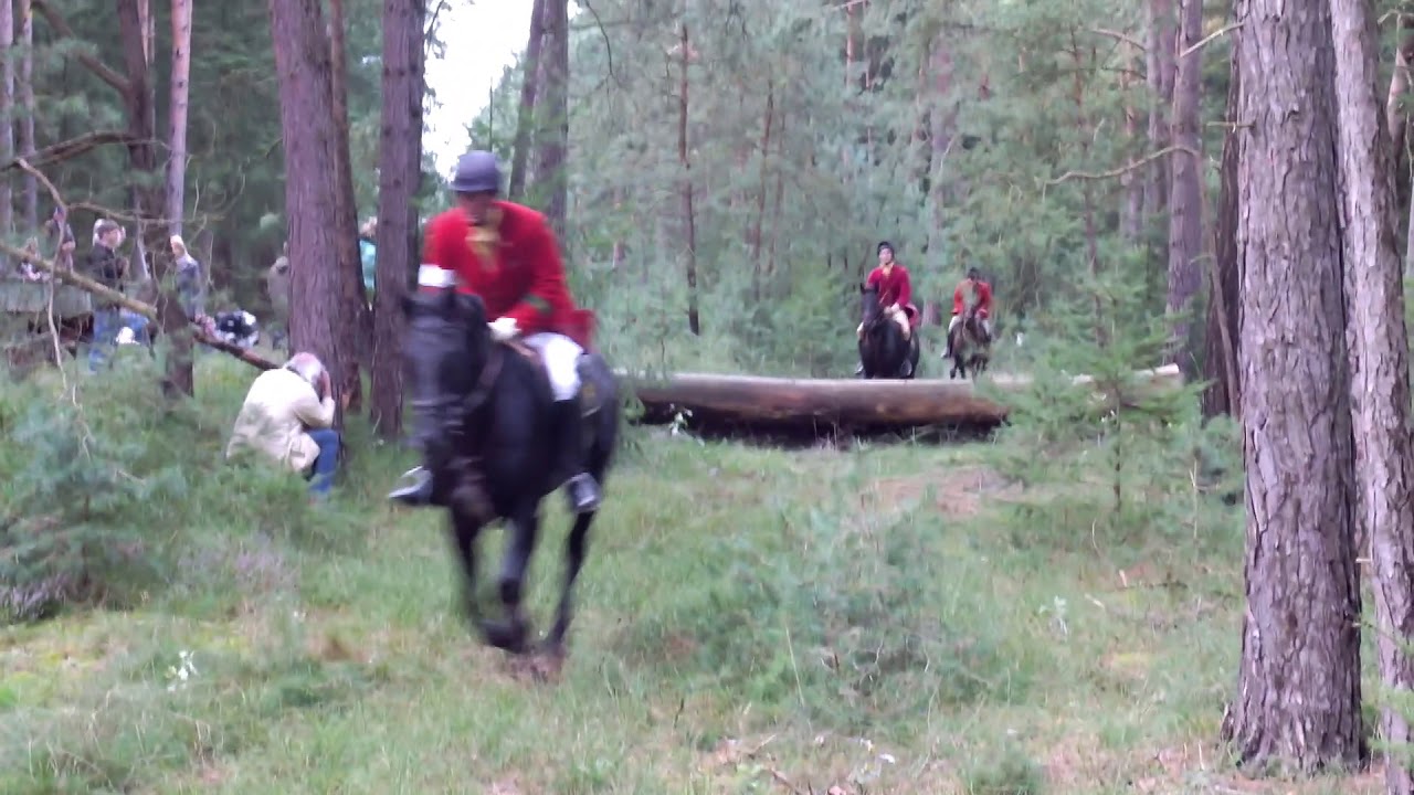 Schleppjagd in Gartow September 2017
