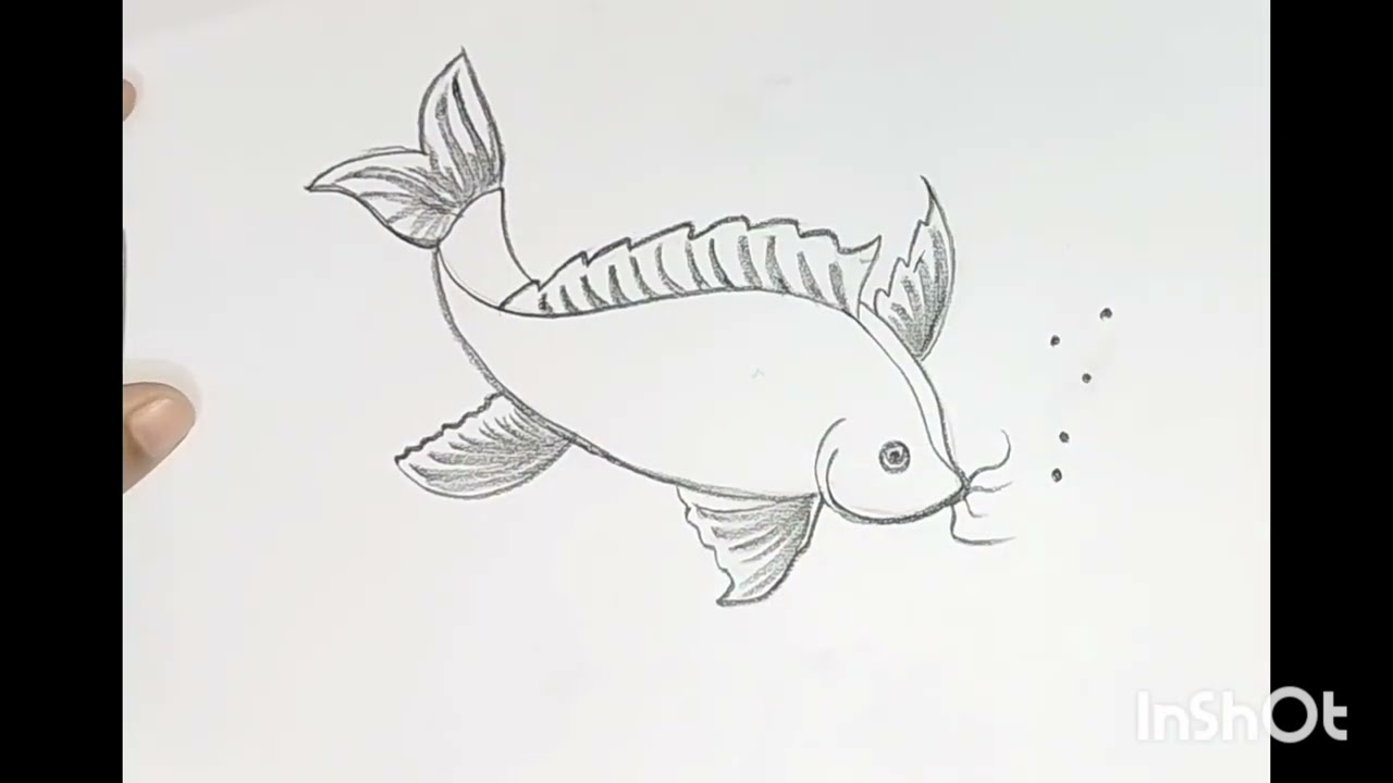 How to draw fish #drawing #art#sketch 