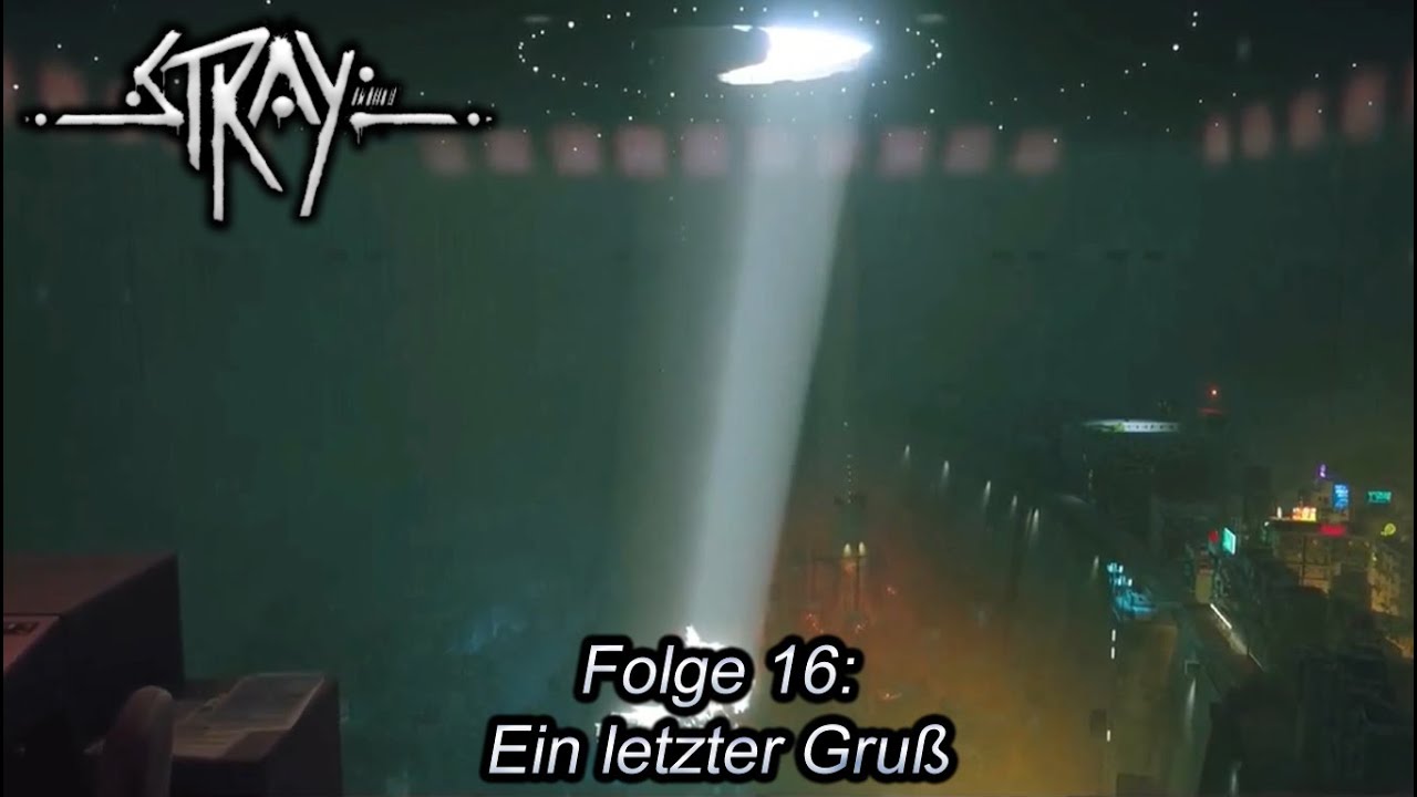 Wir wollten es doch GEMEINSAM erleben!!! 😔 (Stray - Folge 16)