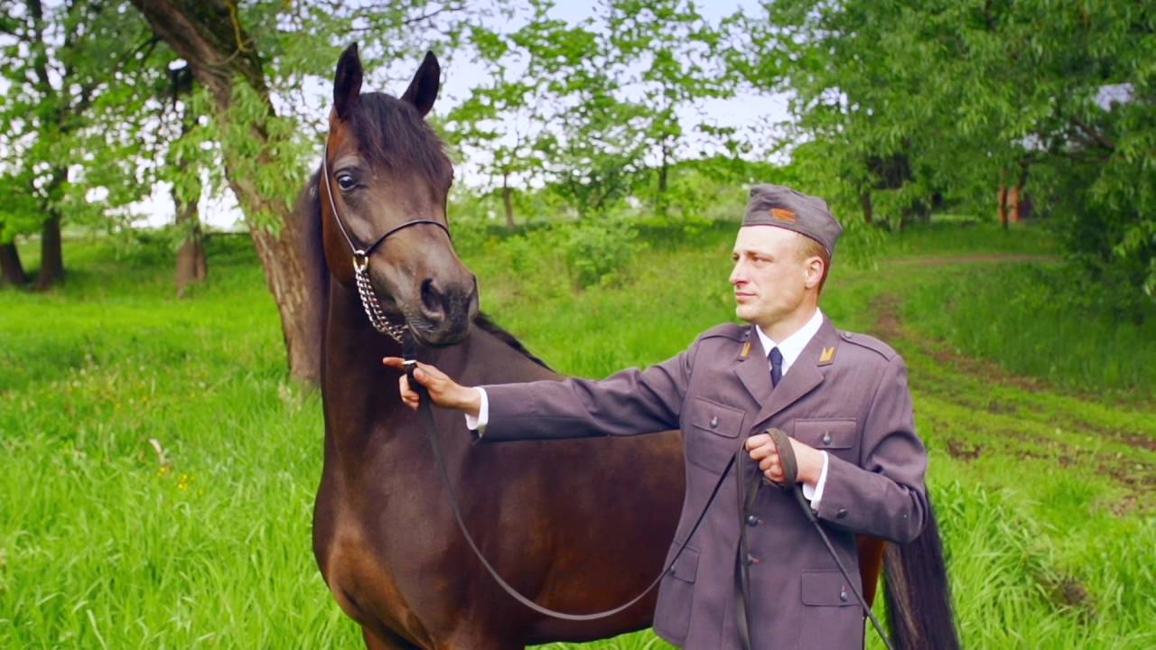 Pride Of Poland 2016 - Al Jazeera