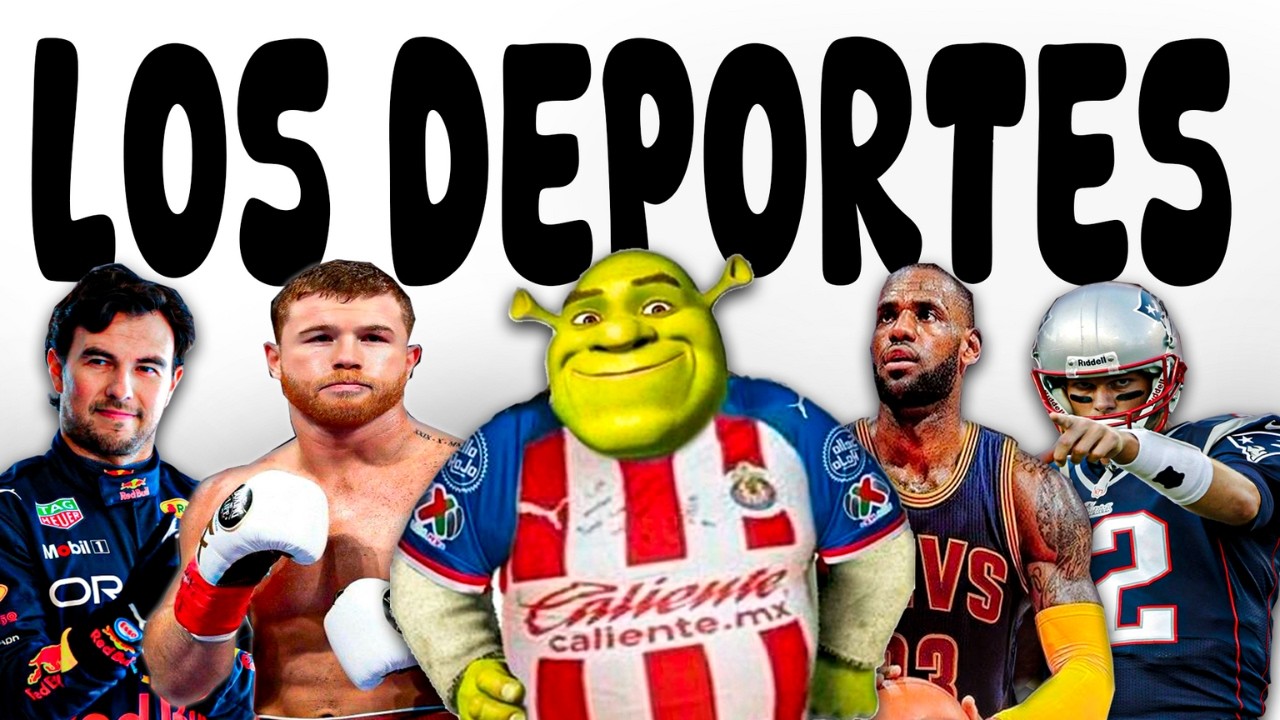 🏆10 TIPOS DE MORROS SEGUN SU DEPORTE FAVORITO🏆