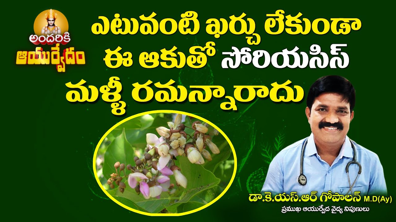 Andariki ayurvedam || ఈ ఒక్క ఆకుతో  సోరియాసిస్ మళ్ళీ  రమ్మన్న రాదు Psoriasis || Dr KSR Gopalan