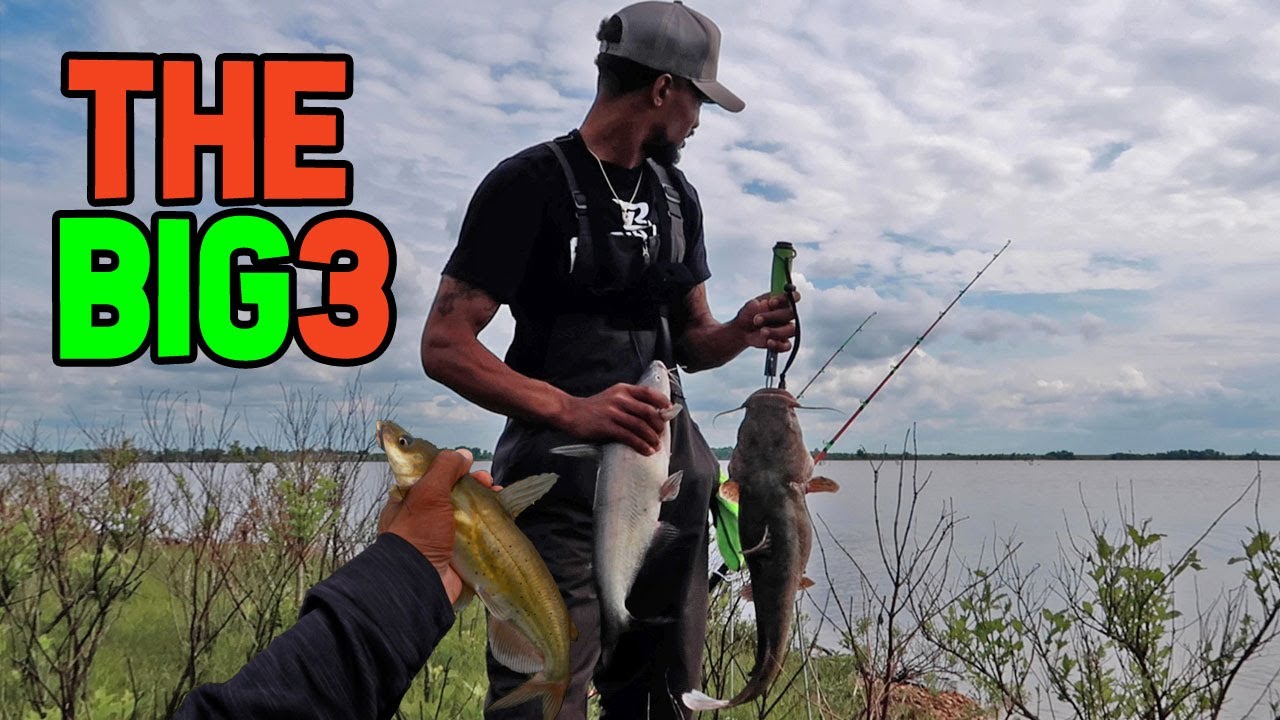 I Caught The Big 3 Catfish Species! (Bank Fishing)