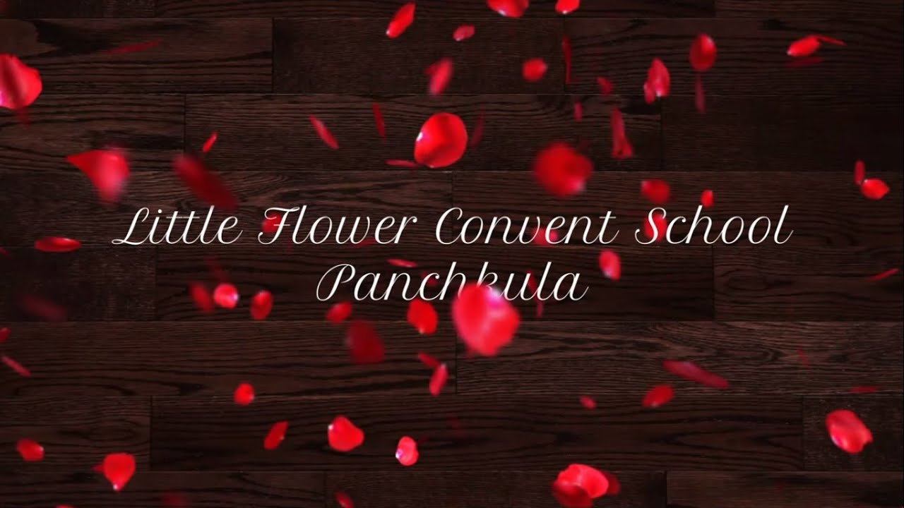 Happy Children's Day and Happy Diwali