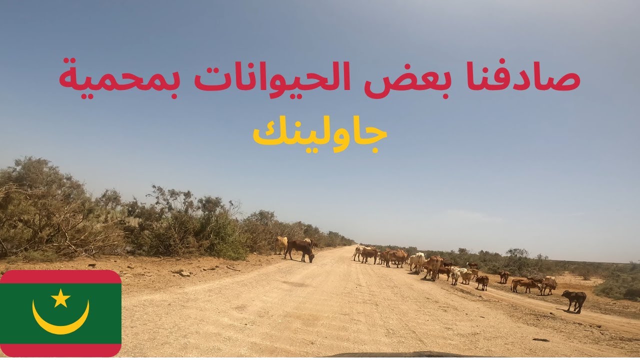 Exploring the Spectacular Diawling National Park - استكشاف المحمية الوطنية لجاولينك