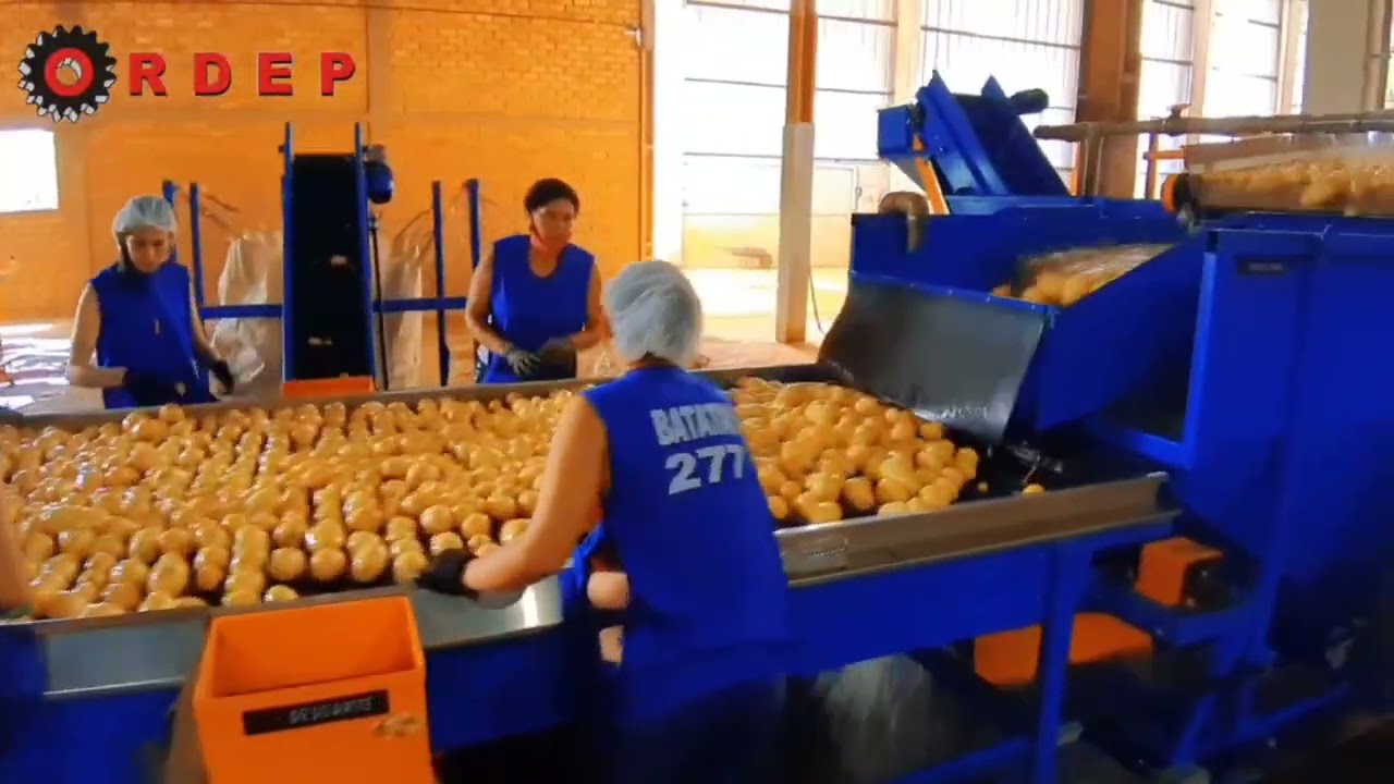 ORDEP - PROCESSO LAVAGEM DE BATATA